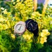 Наручные часы Casio Baby-G BGA-260SC-4A