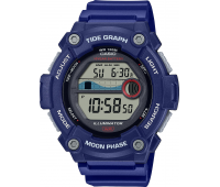 Наручные часы Casio Collection WS-1300H-2A