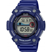 Наручные часы Casio Collection WS-1300H-2A