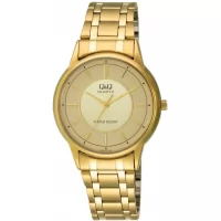 Наручные часы Q&Q Q620J010Y