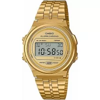 Наручные часы Casio Collection A-171WEG-9A