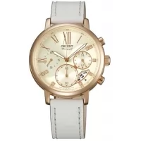 Наручные часы Orient FTW02003S