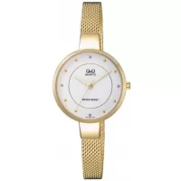 Наручные часы Q&Q QA17J001Y