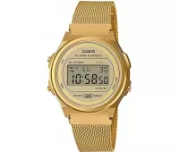Наручные часы Casio Collection A-171WEMG-9A