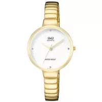 Наручные часы Q&Q F611J001Y