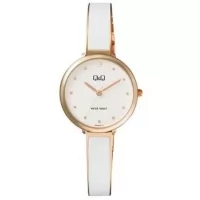 Наручные часы Q&Q F669J011Y
