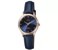Наручные часы Q&Q QZ05J102Y
