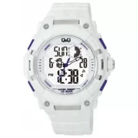 Наручные часы Q&Q GW80J005Y