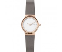 Наручные часы Skagen SKW2669