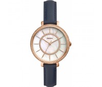 Наручные часы Fossil ES4456