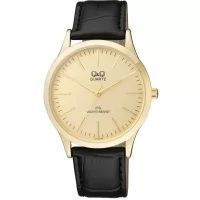 Наручные часы Q&Q C212J100Y