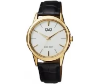 Наручные часы Q&Q Q860J101Y