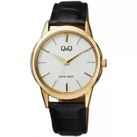 Наручные часы Q&Q Q860J101Y