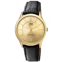 Наручные часы Q&Q Q948J100Y
