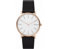Наручные часы Skagen SKW1102
