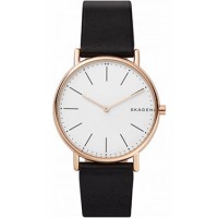 Наручные часы Skagen SKW1102