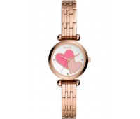 Наручные часы Fossil BQ3697