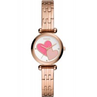 Наручные часы Fossil BQ3697