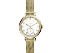 Наручные часы Fossil ES4887