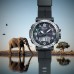 Наручные часы Casio ProTrek PRG-601-1E