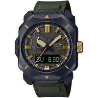 Наручные часы Casio ProTrek PRW-6900Y-3E