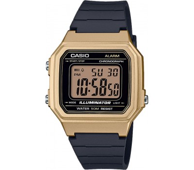 Наручные часы Casio W-217HM-9A