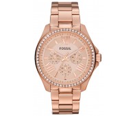 Наручные часы Fossil AM4483