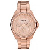 Наручные часы Fossil AM4483