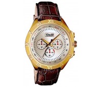Наручные часы Dolce&Gabbana DW0433