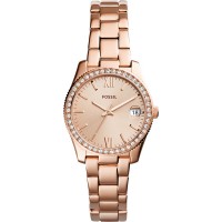 Наручные часы Fossil ES4318