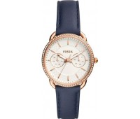 Наручные часы Fossil ES4394