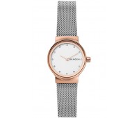 Наручные часы Skagen SKW1101