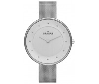 Наручные часы Skagen SKW2140