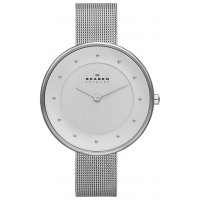 Наручные часы Skagen SKW2140 Наручные часы Skagen SKW2140