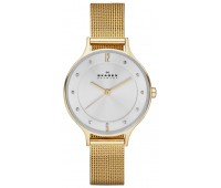 Наручные часы Skagen SKW2150