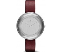Наручные часы Skagen SKW2273