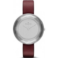 Наручные часы Skagen SKW2273 Наручные часы Skagen SKW2273