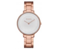 Наручные часы Skagen SKW2331