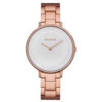 Наручные часы Skagen SKW2331