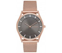 Наручные часы Skagen SKW2378