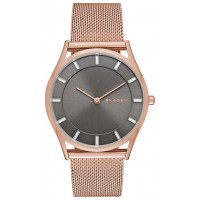 Наручные часы Skagen SKW2378