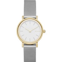 Наручные часы Skagen SKW2445 Наручные часы Skagen SKW2445