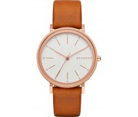 Наручные часы Skagen SKW2488