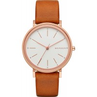 Наручные часы Skagen SKW2488 Наручные часы Skagen SKW2488