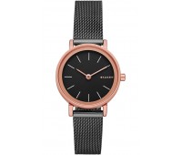 Наручные часы Skagen SKW2492