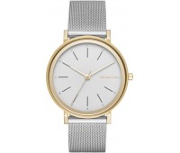 Наручные часы Skagen SKW2508