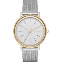 Наручные часы Skagen SKW2508 Наручные часы Skagen SKW2508