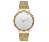 Наручные часы Skagen SKW2519