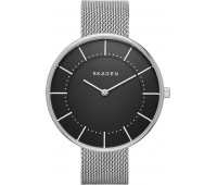 Наручные часы Skagen SKW2561