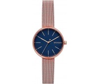 Наручные часы Skagen SKW2593